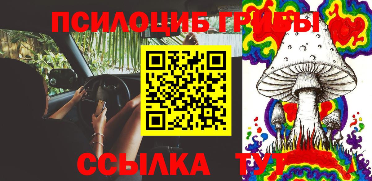 Псилоцибиновые грибы мицелий Радужный