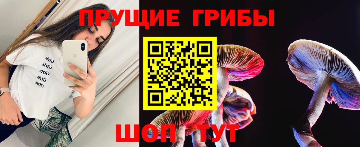 Радужный  купить наркоту  Вход с VPN  Псилоцибиновые грибы прущие грибы  Псилоцибиновые грибы GOLDEN TEACHER 